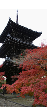 紅葉